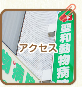 アクセス