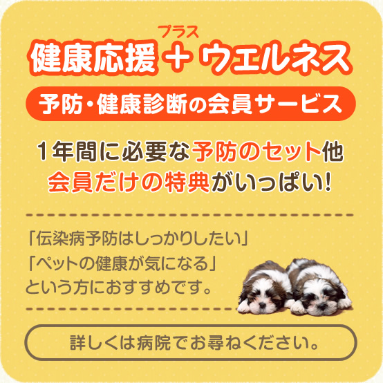診察時間